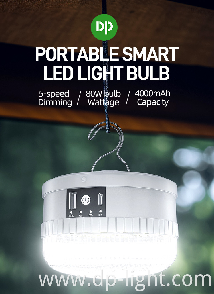 Outdoor Emergency Bulb